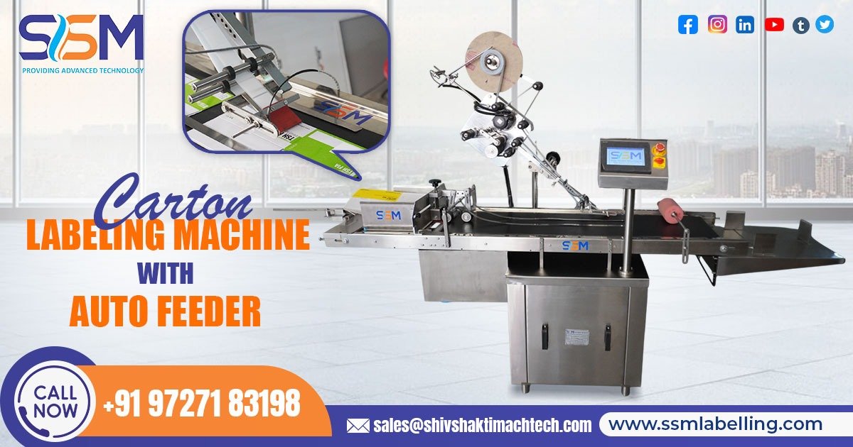 Carton Labeling Machine with Auto Feeder